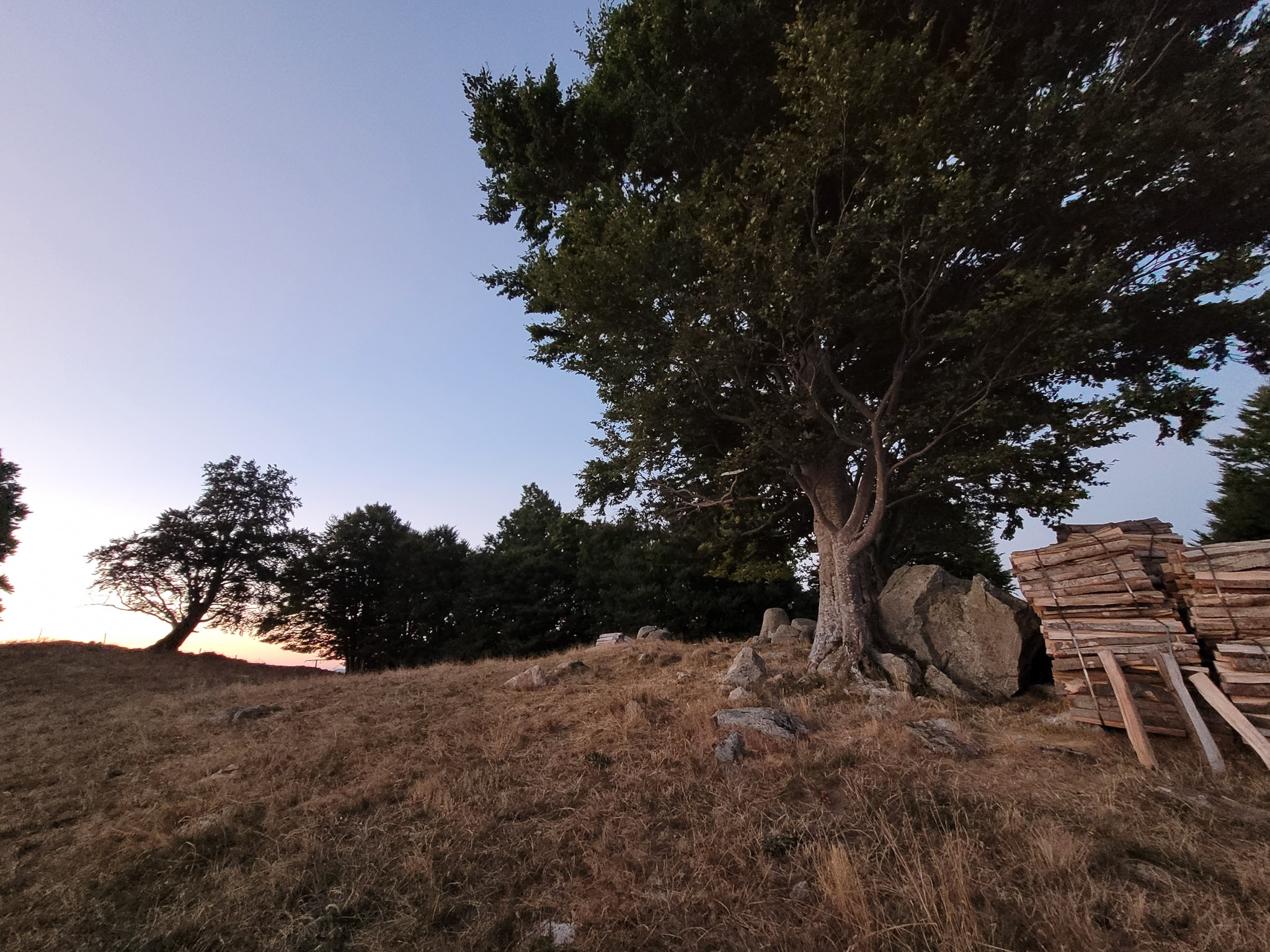 20220813210415 20220813 210415